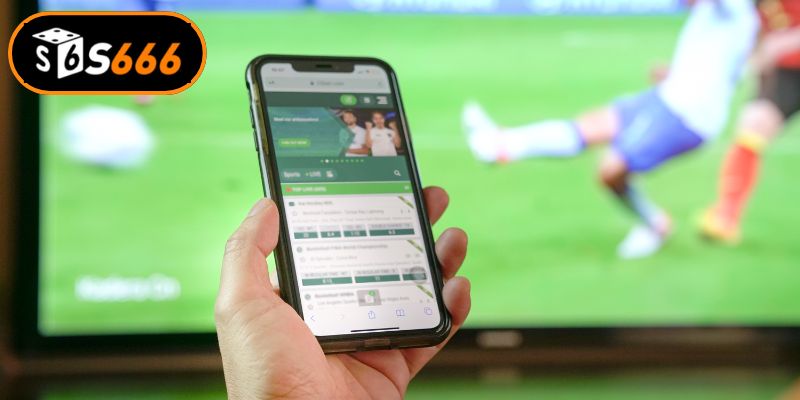 Các sản phẩm giải trí cá độ đỉnh cao