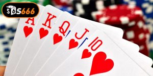 Cách Chơi Phỏm Luôn Thắng Cho Người Mới Bắt Đầu