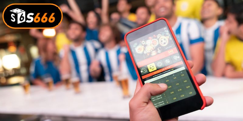 Phân loại các hình thức cược bóng đá hay