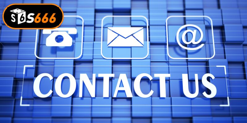 Tổng hợp các kênh kết nối nhà cái